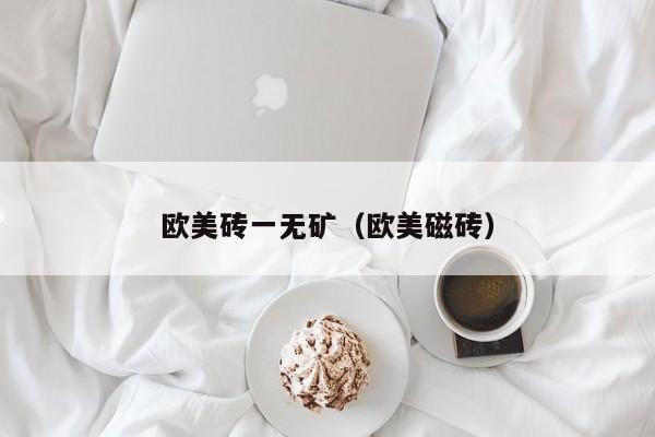 欧美砖一无矿(欧美磁砖)