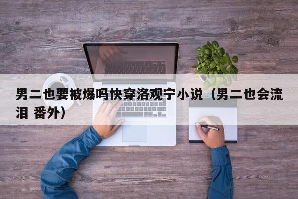 男二也要被爆吗快穿洛观宁小说(男二也会流泪 番外)